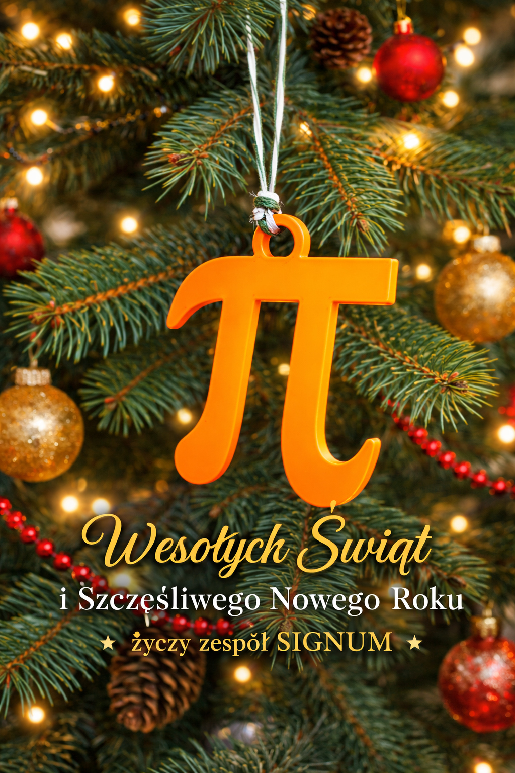 Wesołych Świąt i Szczęśliwego Nowego Roku 2026 życzy zespół Signum